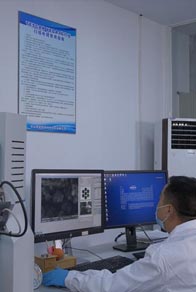 檢測分析