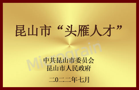 昆山市“頭雁人才”